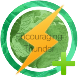 encouraging-thunder