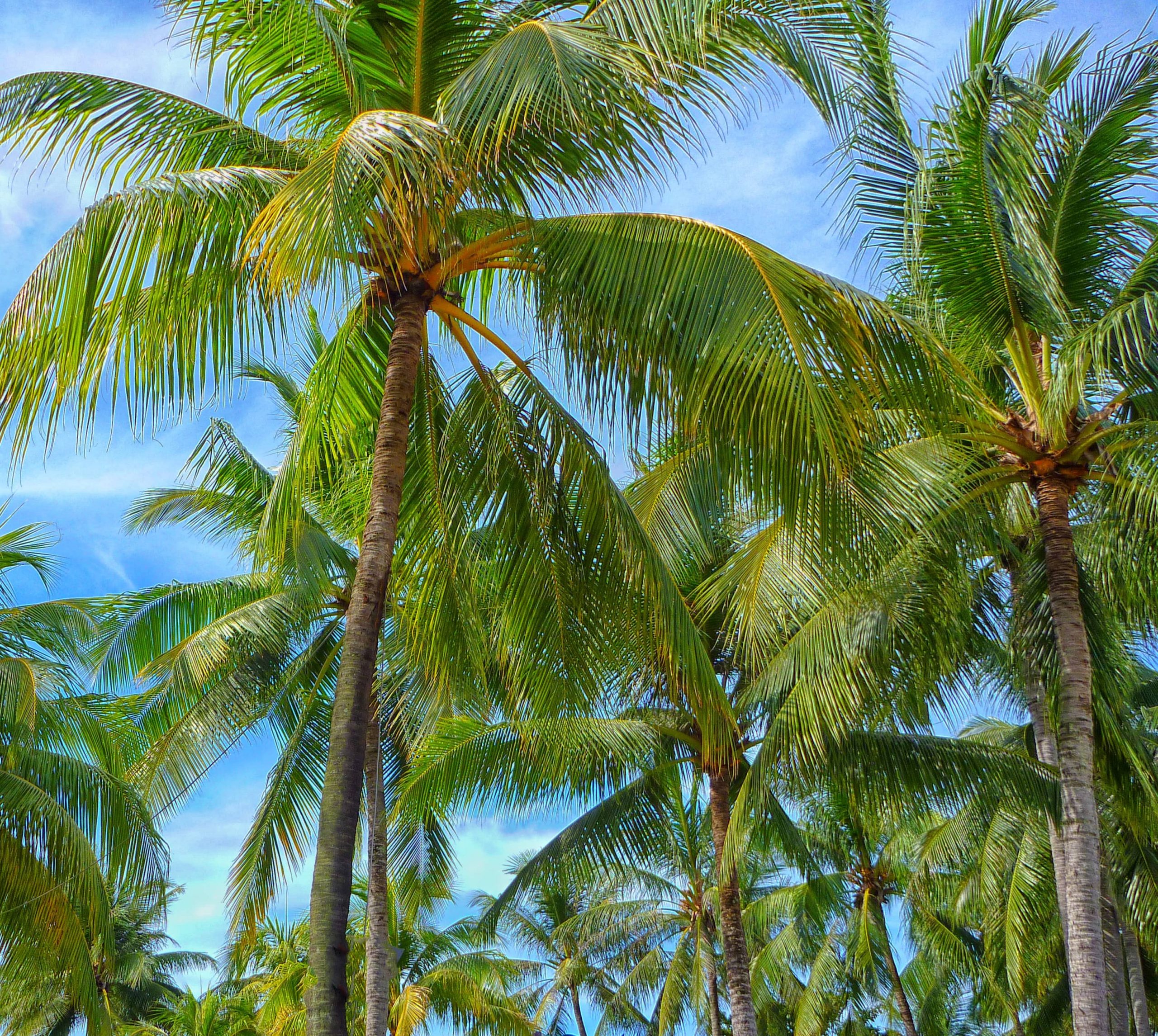 Why you should make Mauritius your next holiday destination - michalah francis