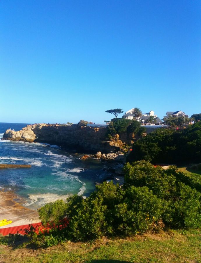 4 things to do in Hermanus any time of the year