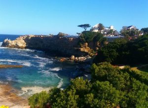 4-things-to-do-in-Hermanus-anytime-of-the-year-michalah-francis-7-min-768x1024