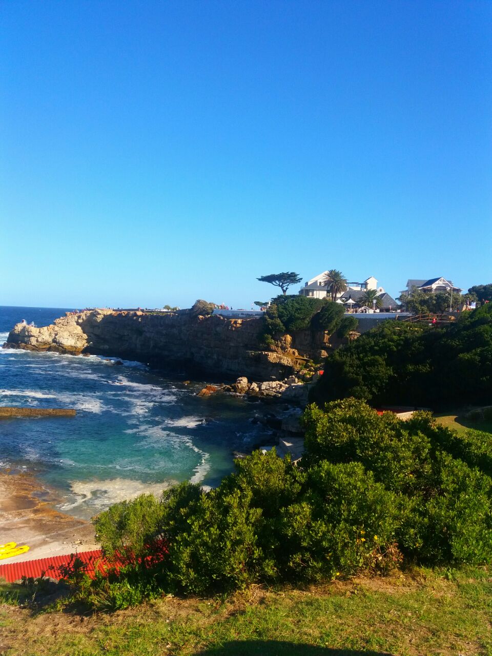 4 things to do in Hermanus anytime of the year - michalah francis-min