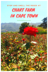 Stop and smell the roses at Chart Farm in Cape Town - michalah francis